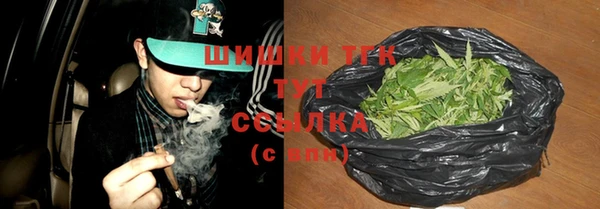 ECSTASY Алзамай