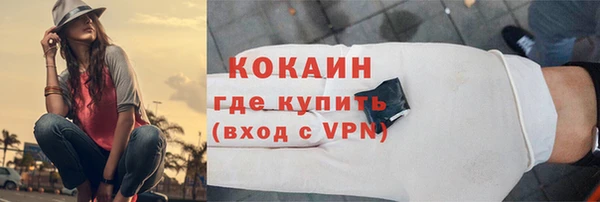 ГАЛЛЮЦИНОГЕННЫЕ ГРИБЫ Рославль