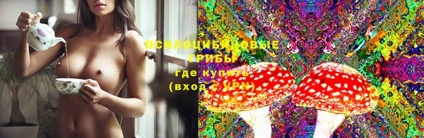 ECSTASY Алзамай