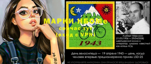 ГАЛЛЮЦИНОГЕННЫЕ ГРИБЫ Рославль