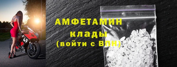 ECSTASY Алзамай