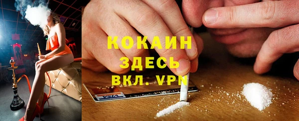 ECSTASY Алзамай