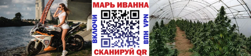 МАРИХУАНА планчик  Гвардейск 